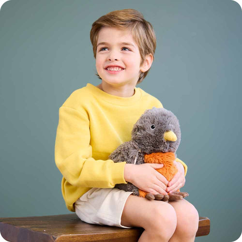 American Robin Warmies - Daily Set
