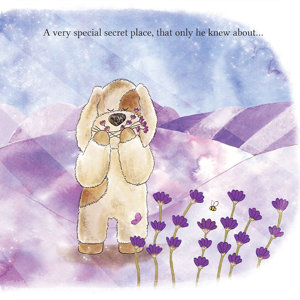 A Special Secret Place Board Book - Travel Edit