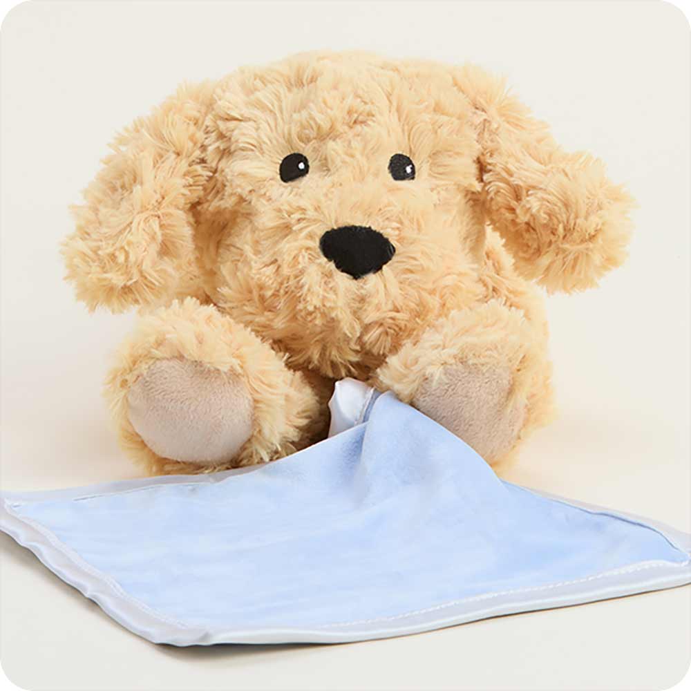 Golden Dog Blankie Warmies - Warm Blend