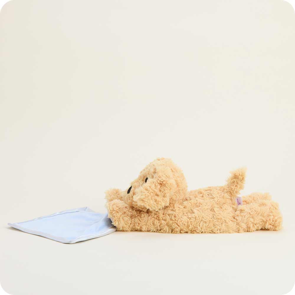 Golden Dog Blankie Warmies - Warm Blend