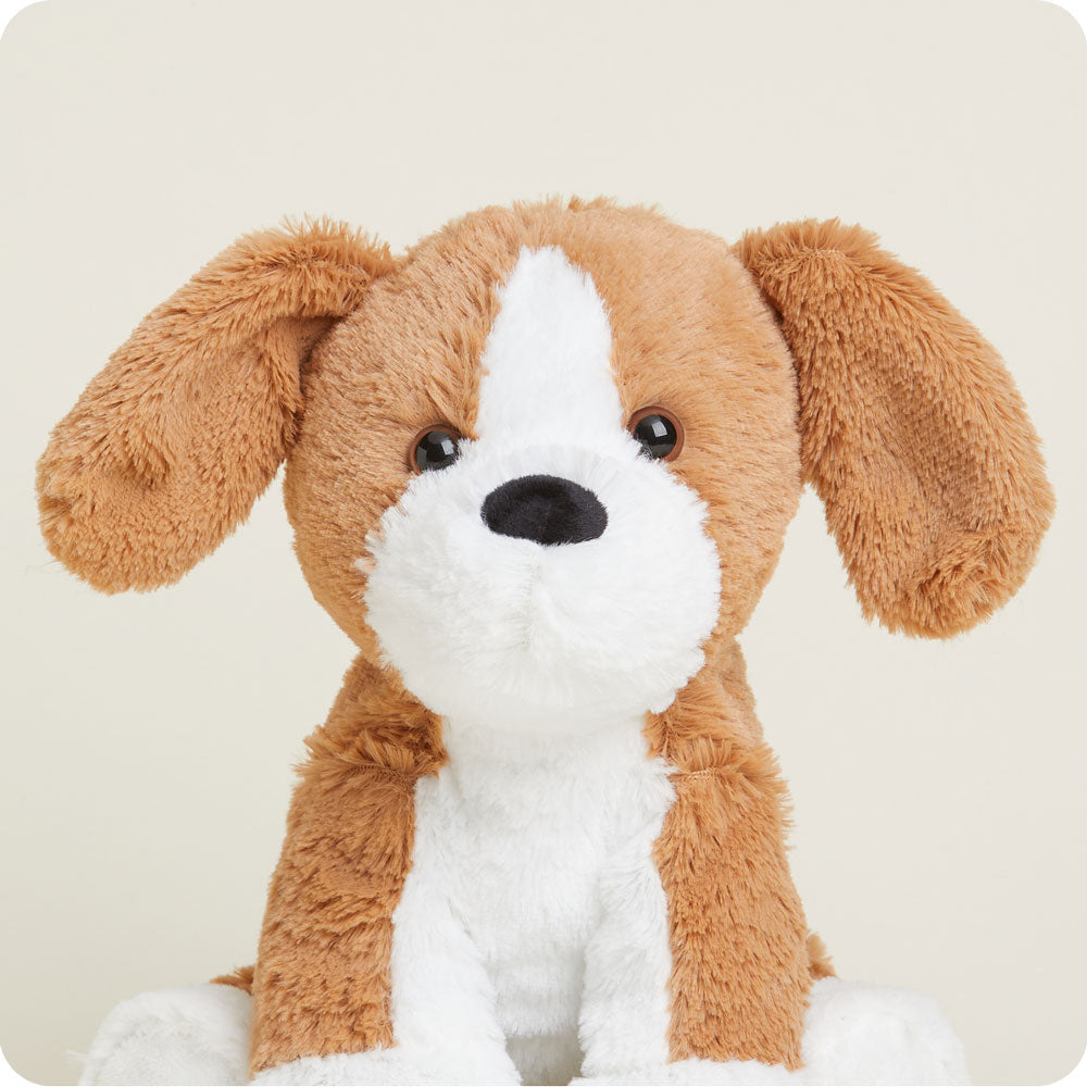 Beagle Warmies - Fresh Notes