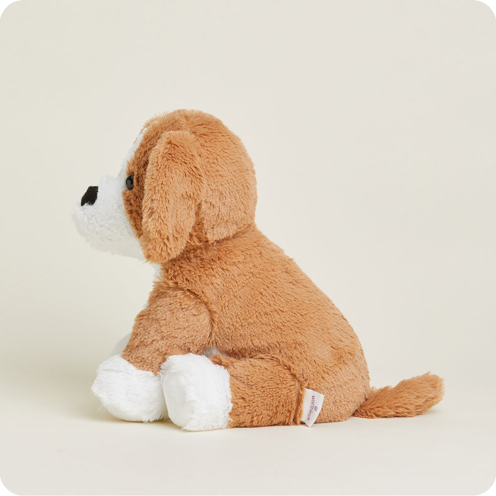 Beagle Warmies - Fresh Notes