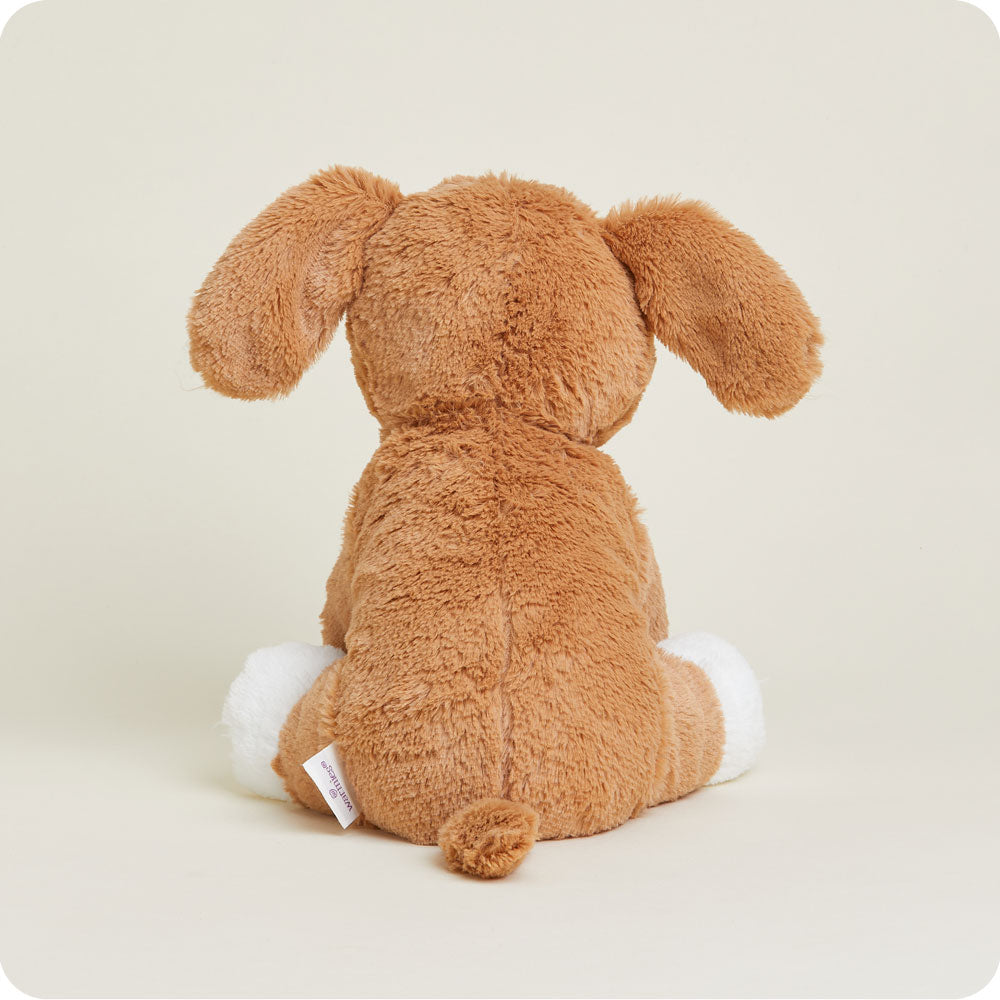 Beagle Warmies - Fresh Notes