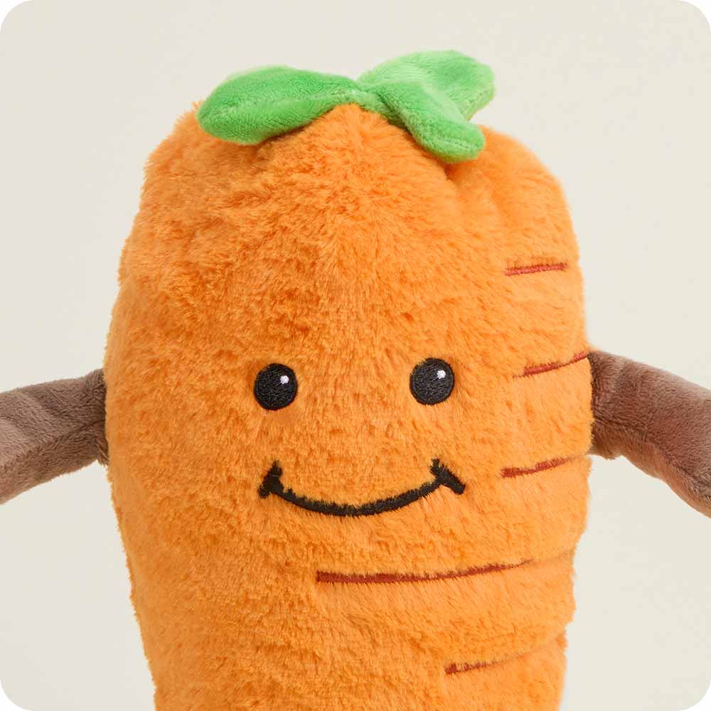 Carrot Warmies - Warm Blend