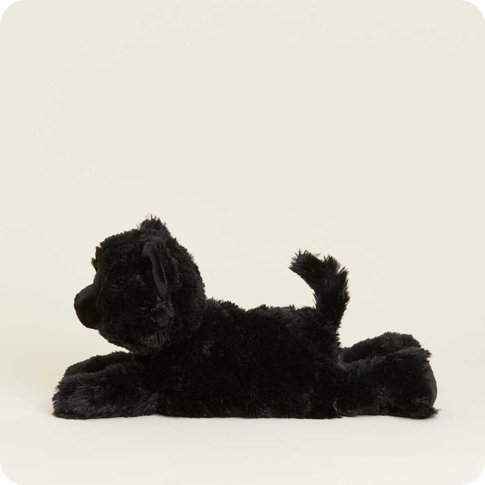 Black Cat Warmies - Home Glow