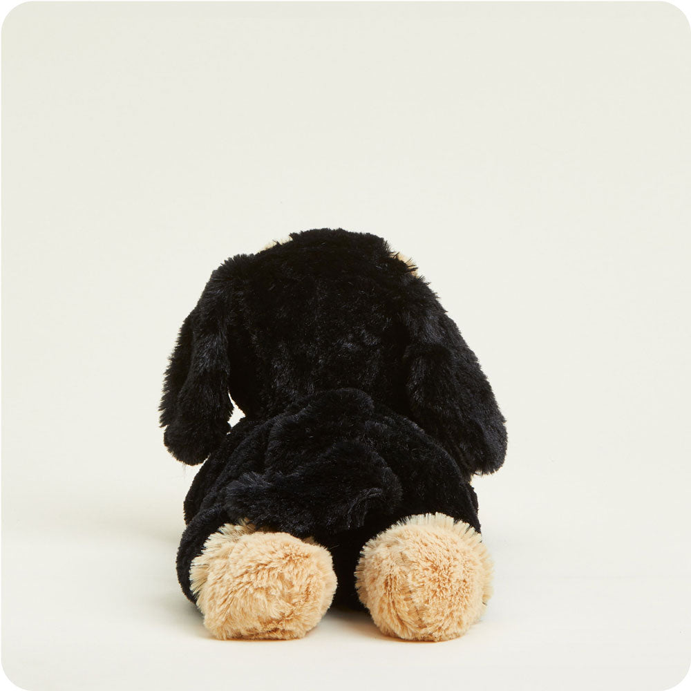 Dachshund Warmies - Cozy Glow