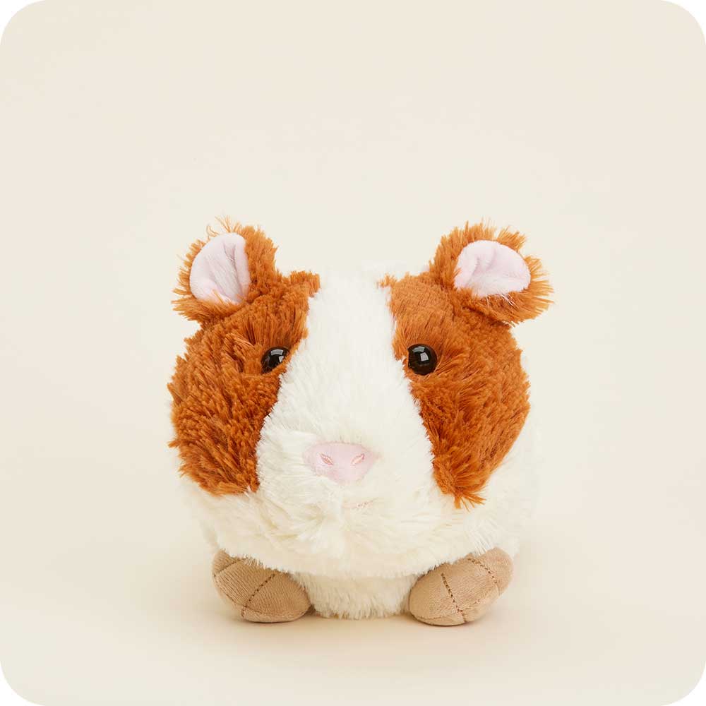 Guinea Pig Warmies - Modern Blend