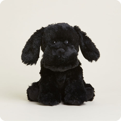 Black Labrador Warmies - Modern Blend