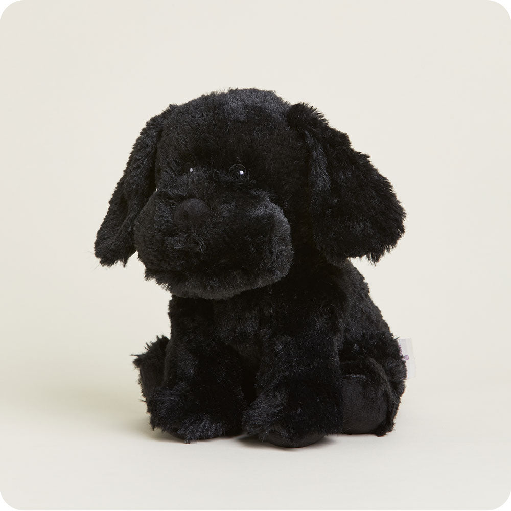 Black Labrador Warmies - Modern Blend