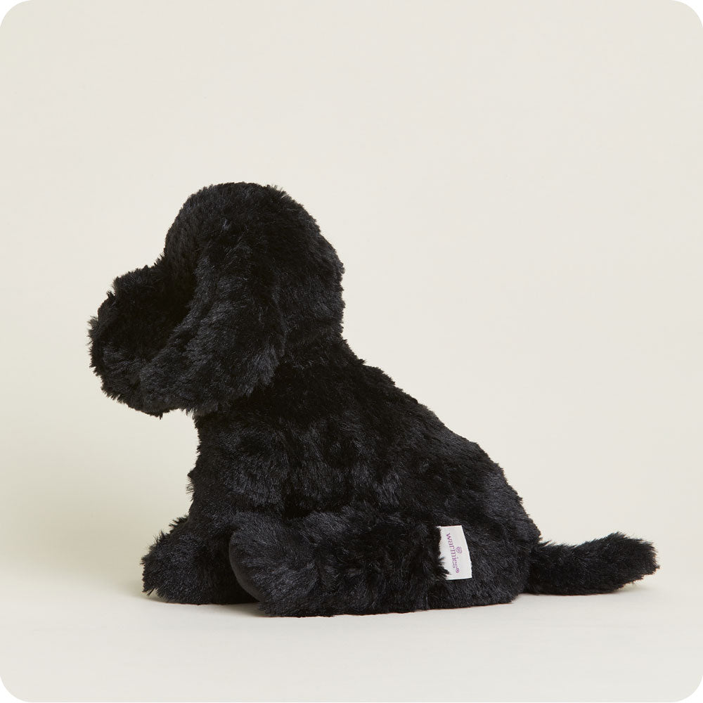 Black Labrador Warmies - Modern Blend
