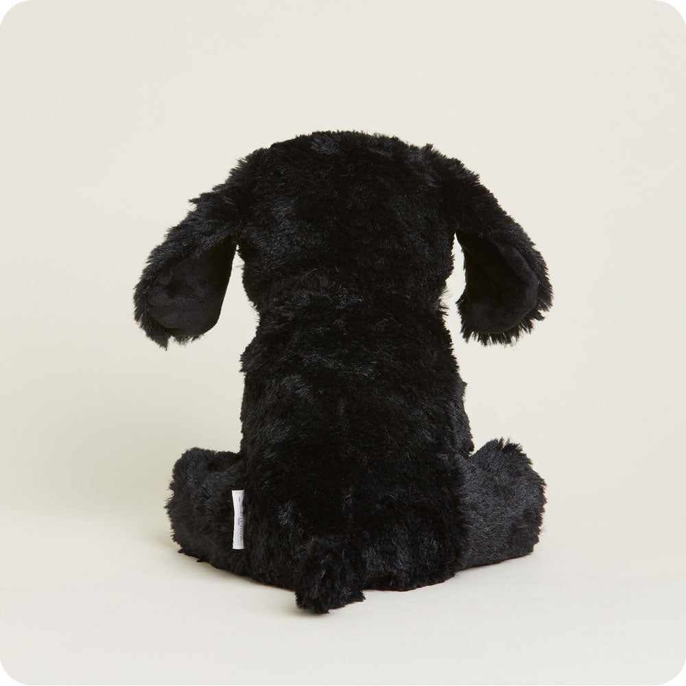 Black Labrador Warmies - Modern Blend