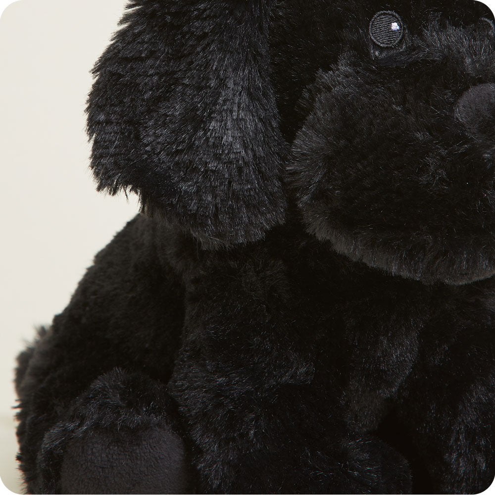 Black Labrador Warmies - Modern Blend