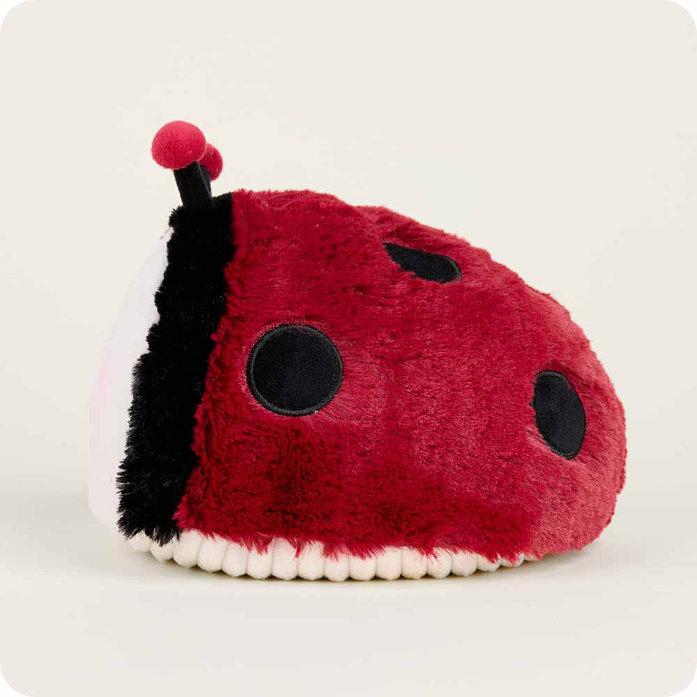 Ladybug Warmies - Fresh Notes