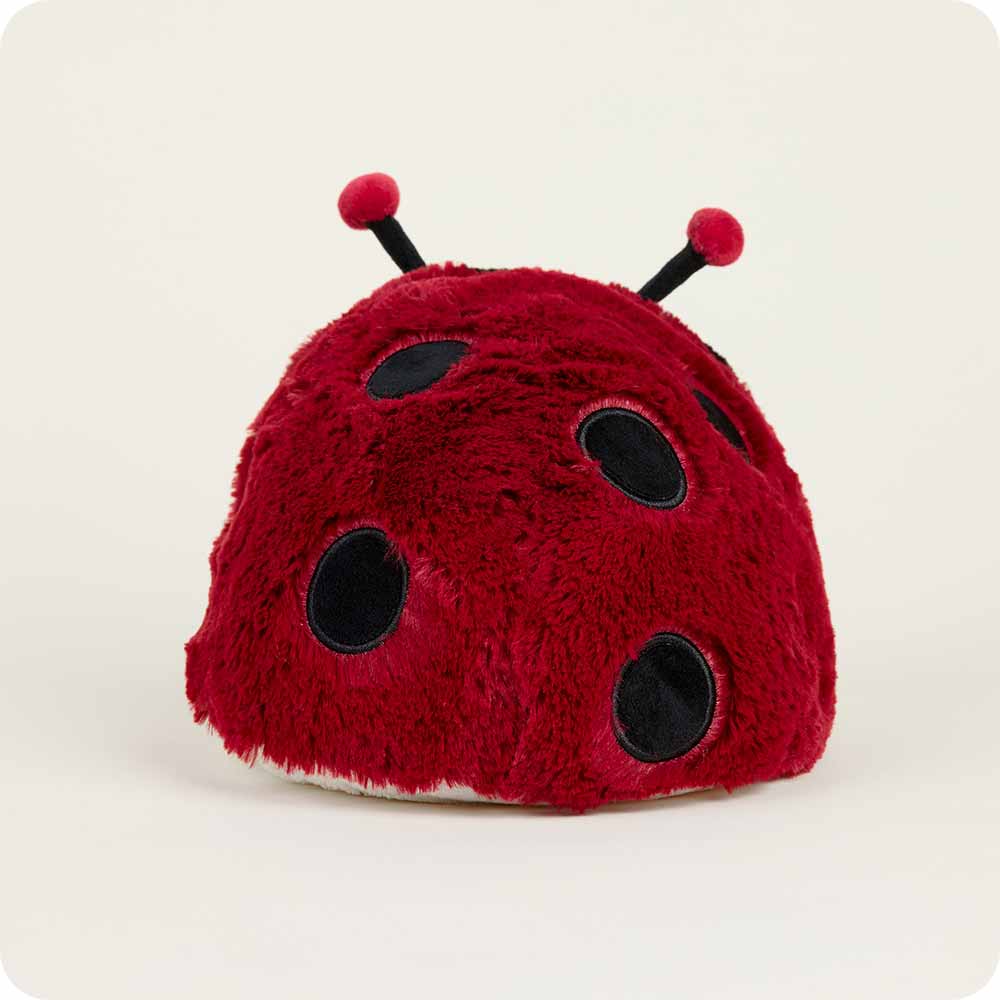 Ladybug Warmies - Fresh Notes