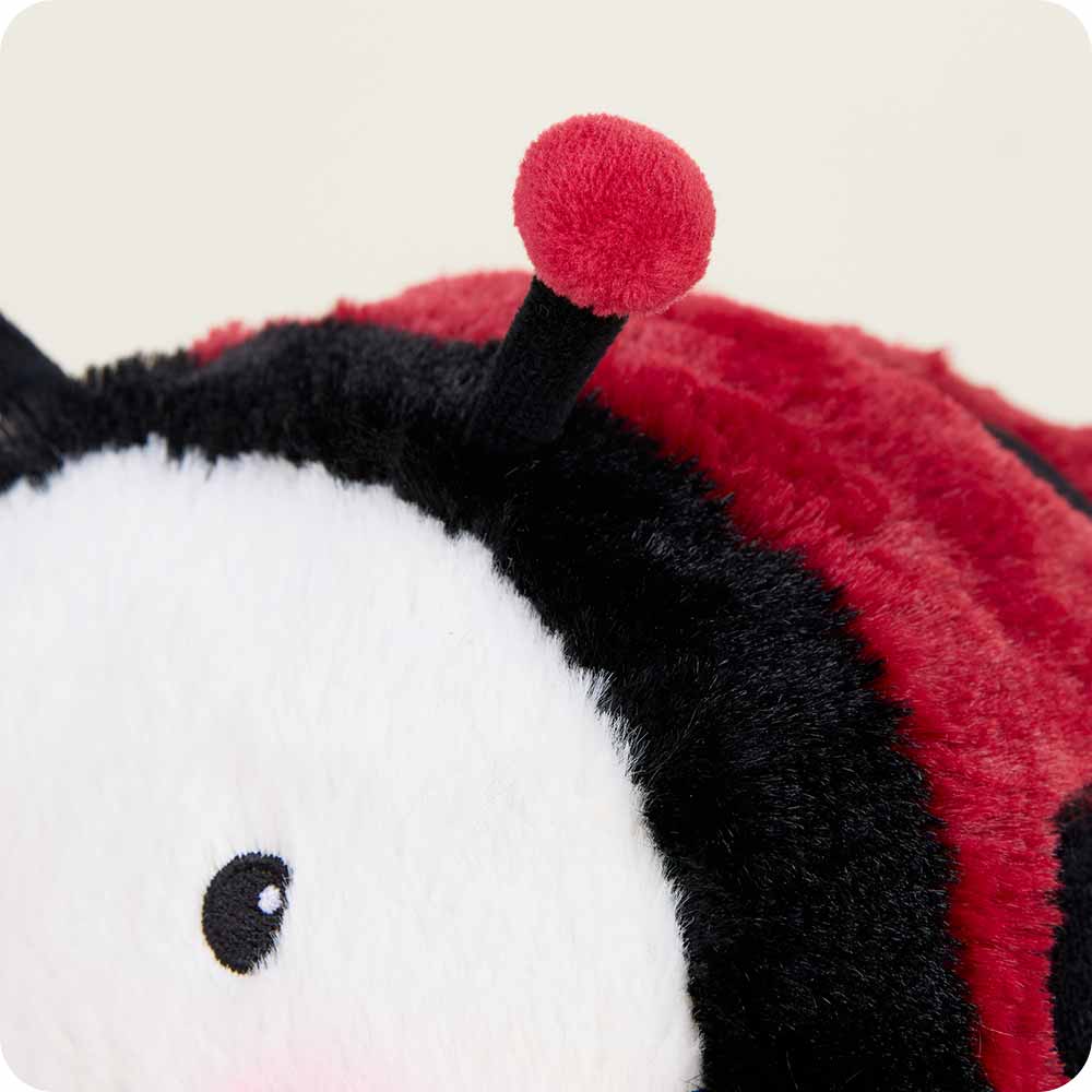 Ladybug Warmies - Fresh Notes