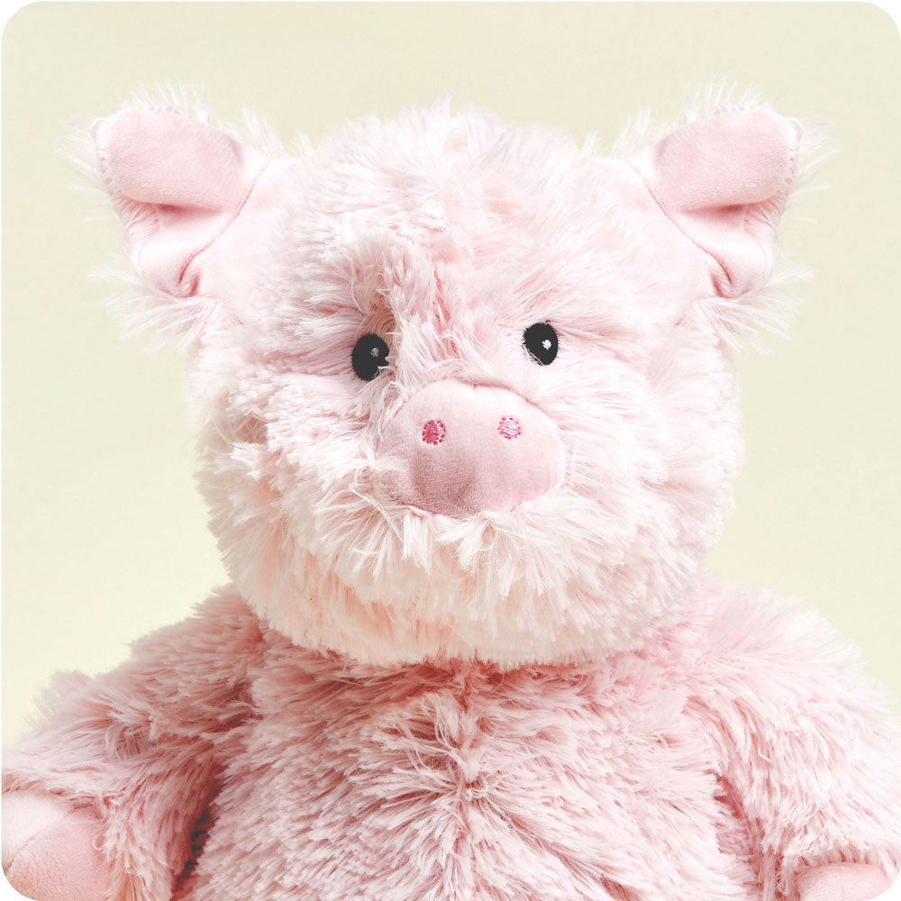 Pig Warmies - Classic Notes