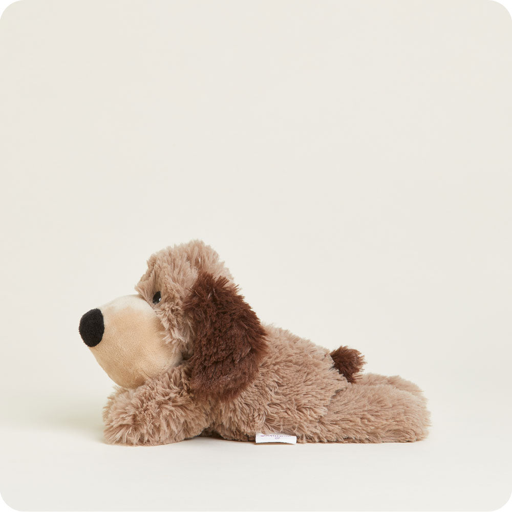 Brown Dog Warmies Junior - Bright Scent