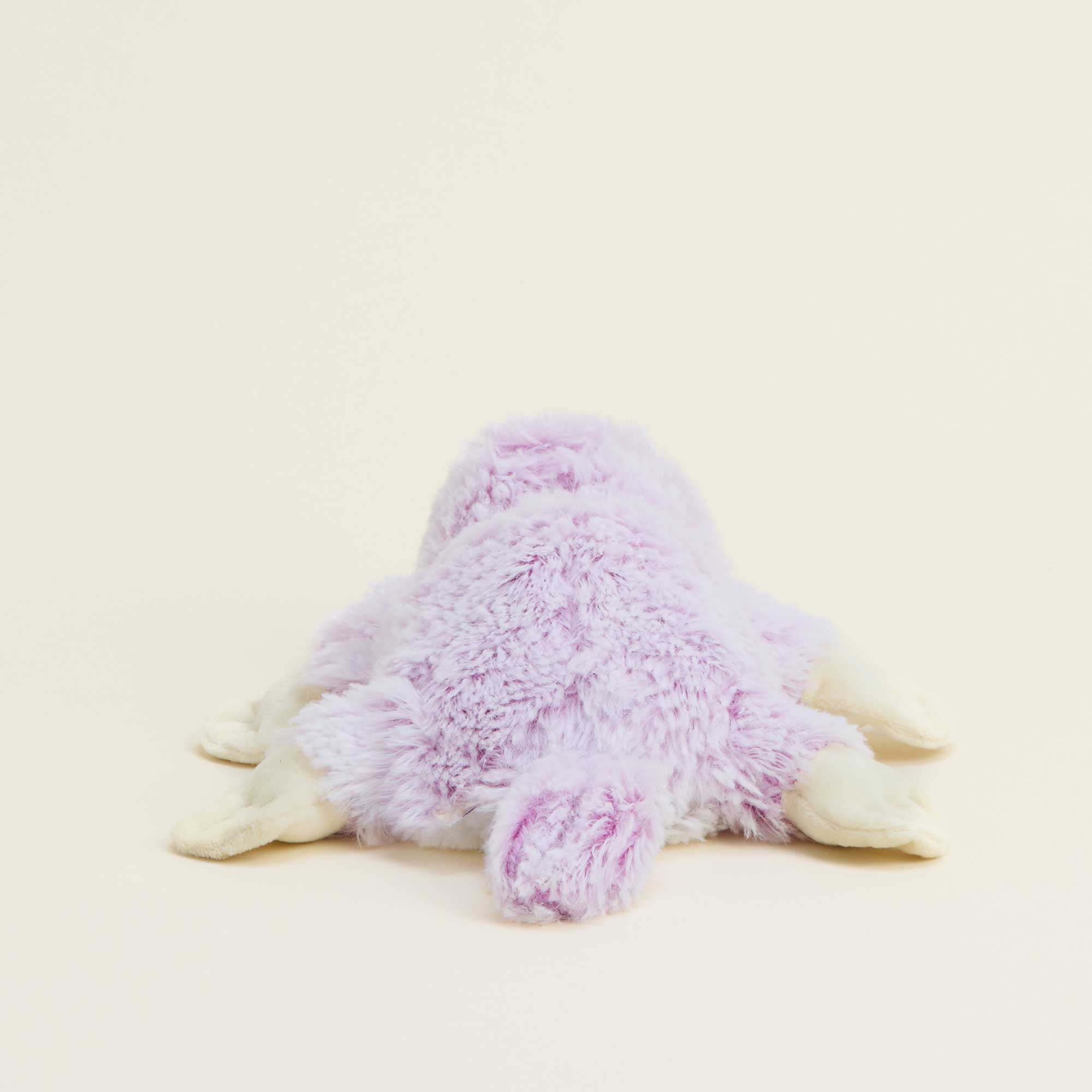 Platypus Warmies Junior - Classic Notes