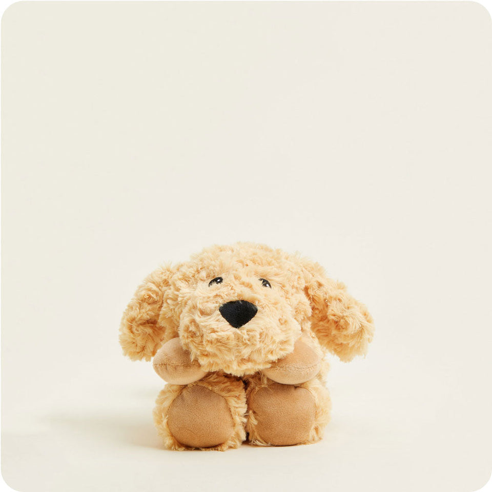 Golden Dog Warmies Wrap - Home Choice