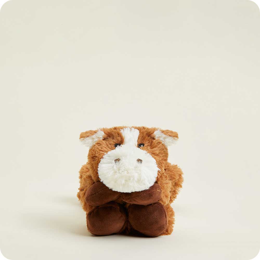 Horse Warmies Wrap - Home Choice
