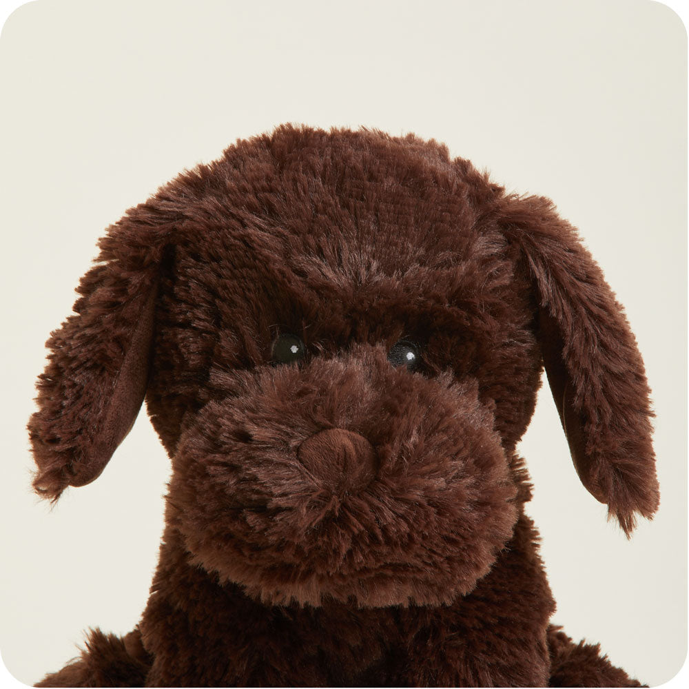 Chocolate Labrador Warmies - Fresh Notes