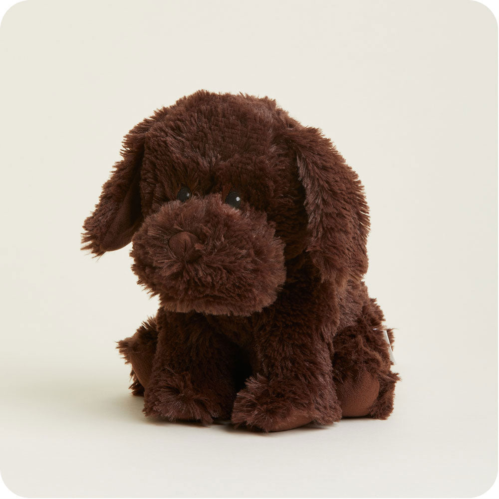 Chocolate Labrador Warmies - Fresh Notes
