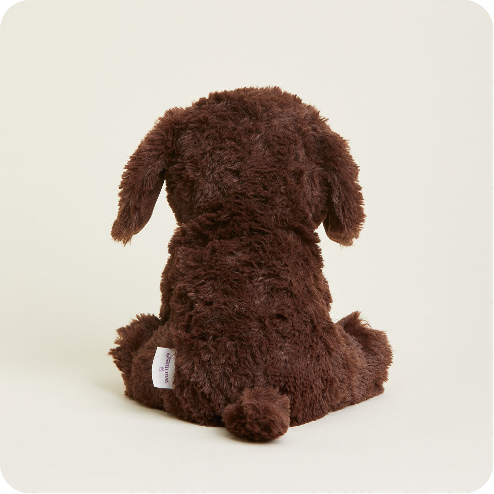 Chocolate Labrador Warmies - Fresh Notes