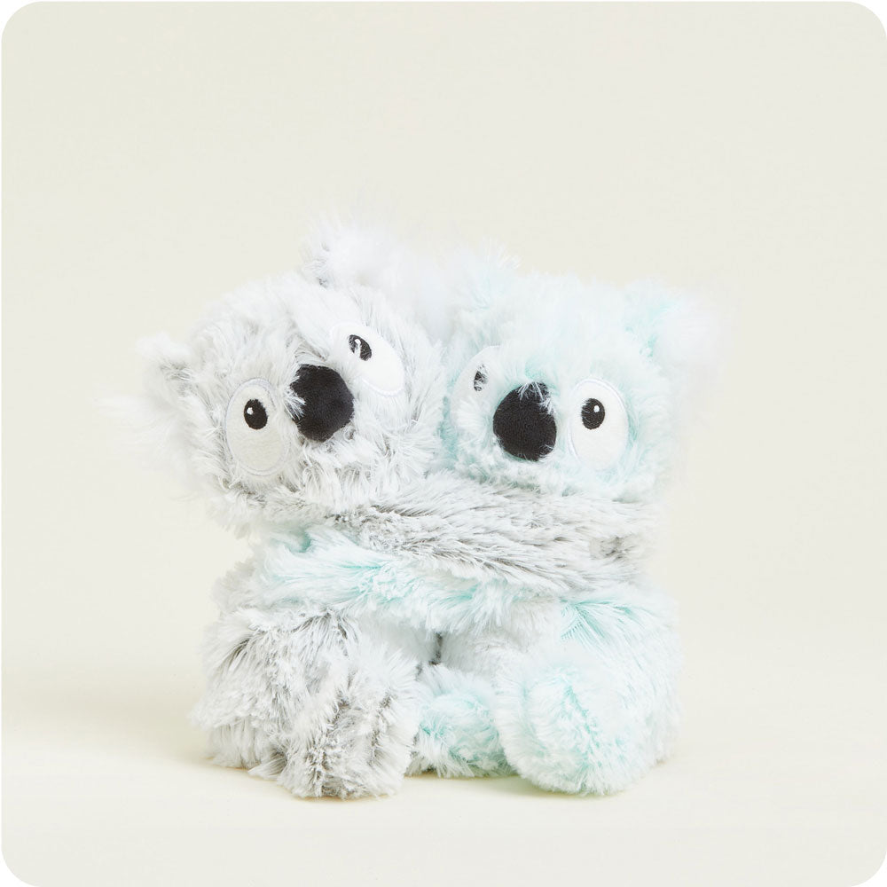 Koala Hugs - Travel Edit
