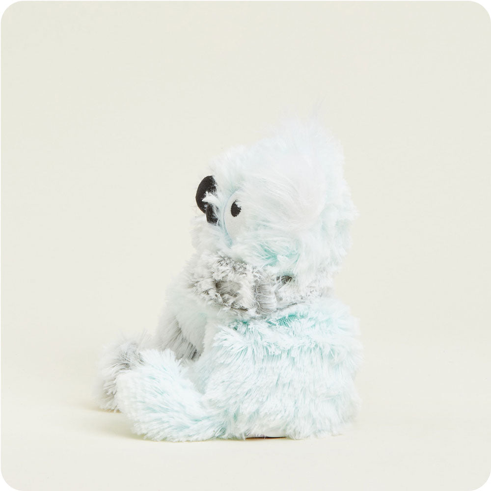 Koala Hugs - Travel Edit