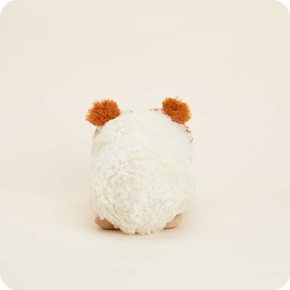 Guinea Pig Warmies - Modern Blend