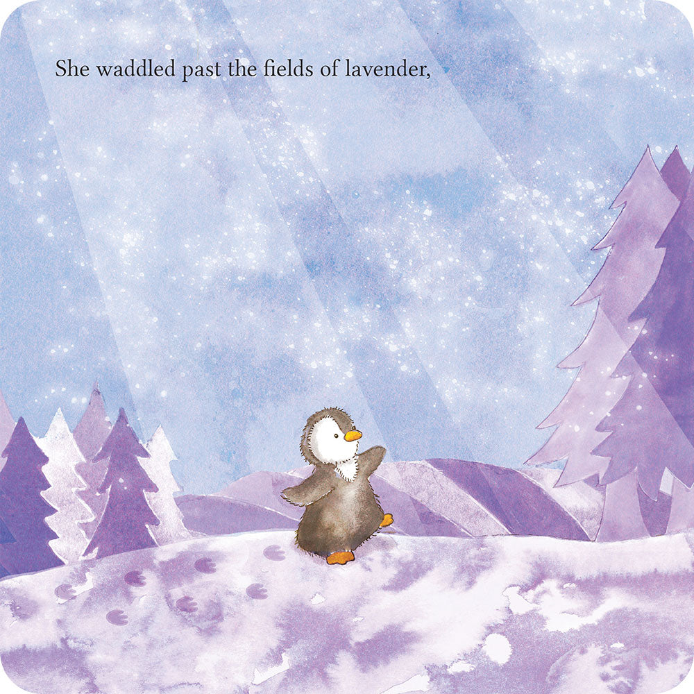 Lost in the Woods Board Book - Fresh Pair