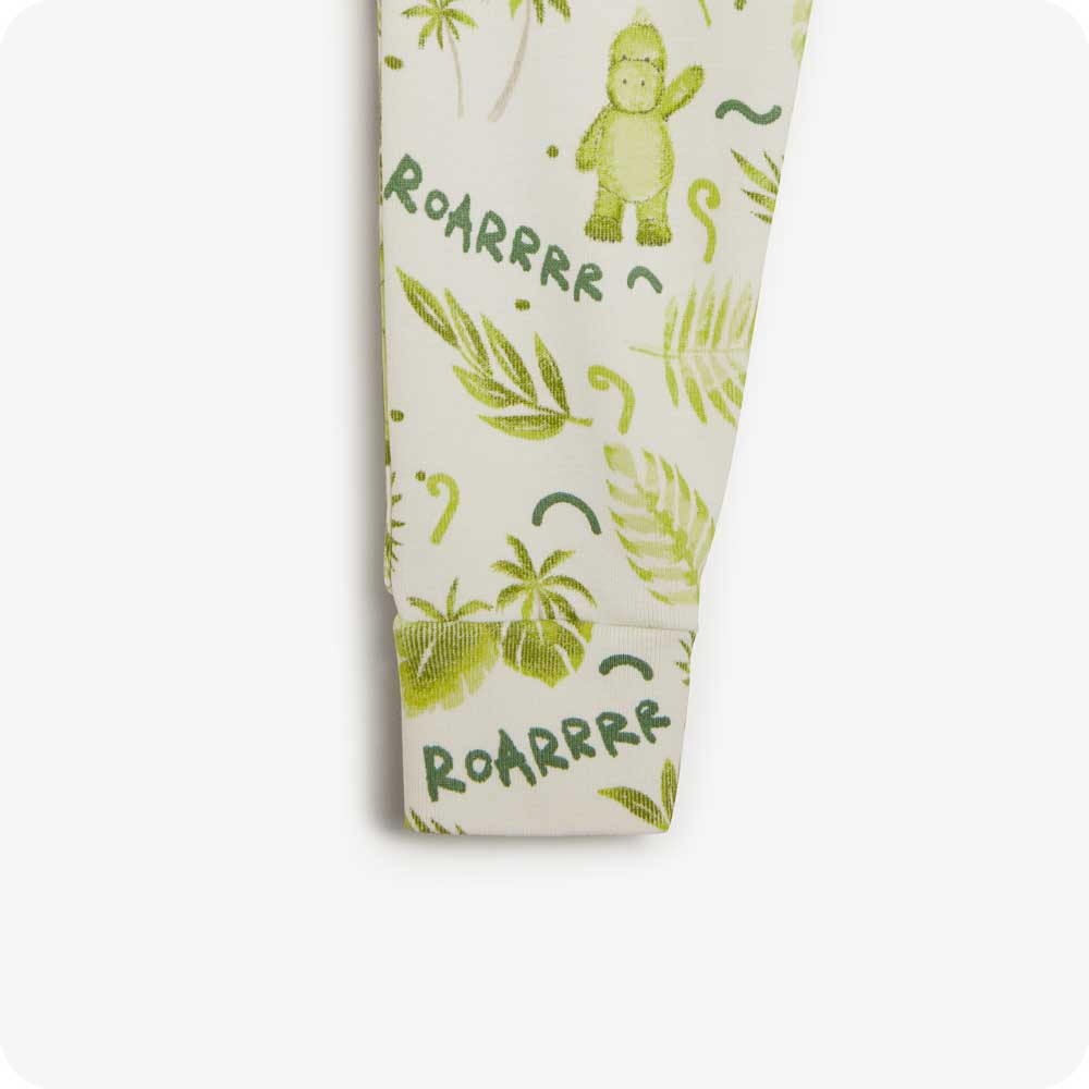 Dinosaur Long Pajamas - Essential Set