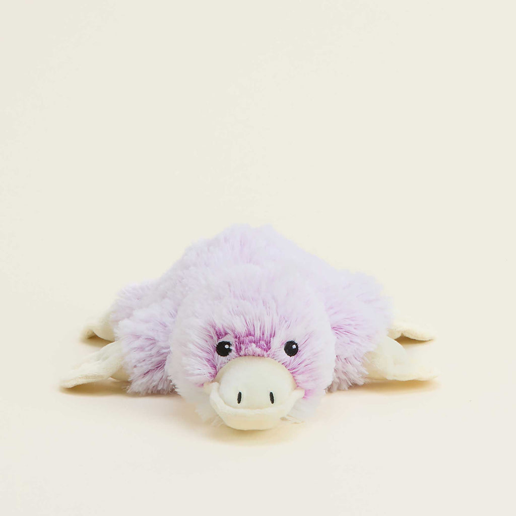 Platypus Warmies Junior - Classic Notes