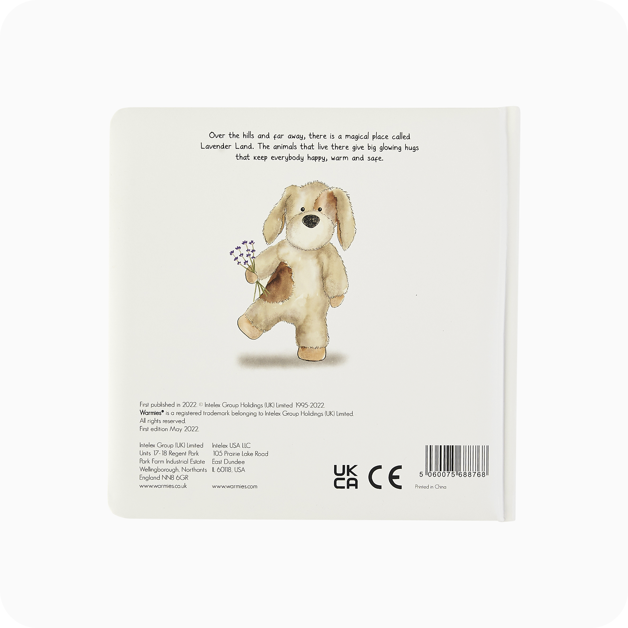 A Special Secret Place Board Book - Travel Edit