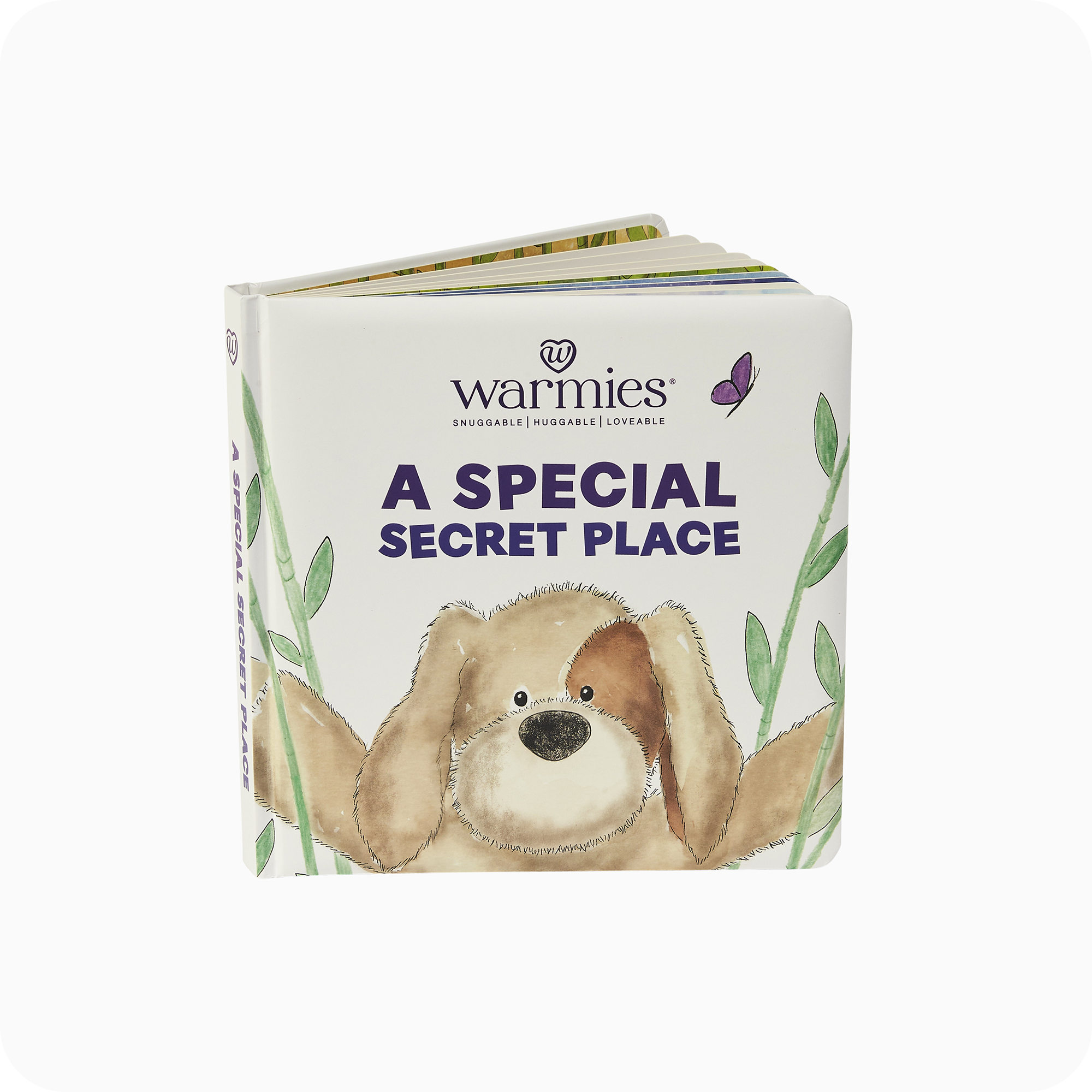 A Special Secret Place Board Book - Travel Edit