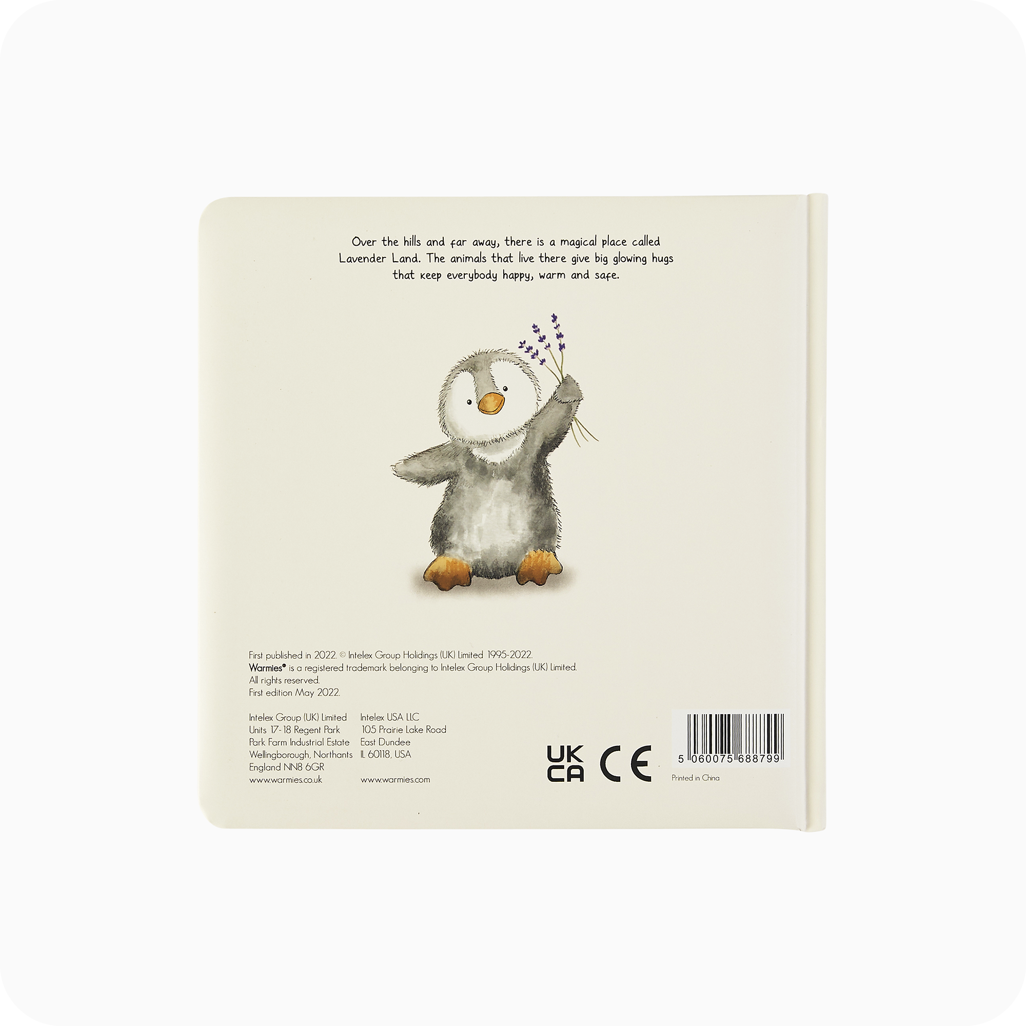Lost in the Woods Board Book - Fresh Pair