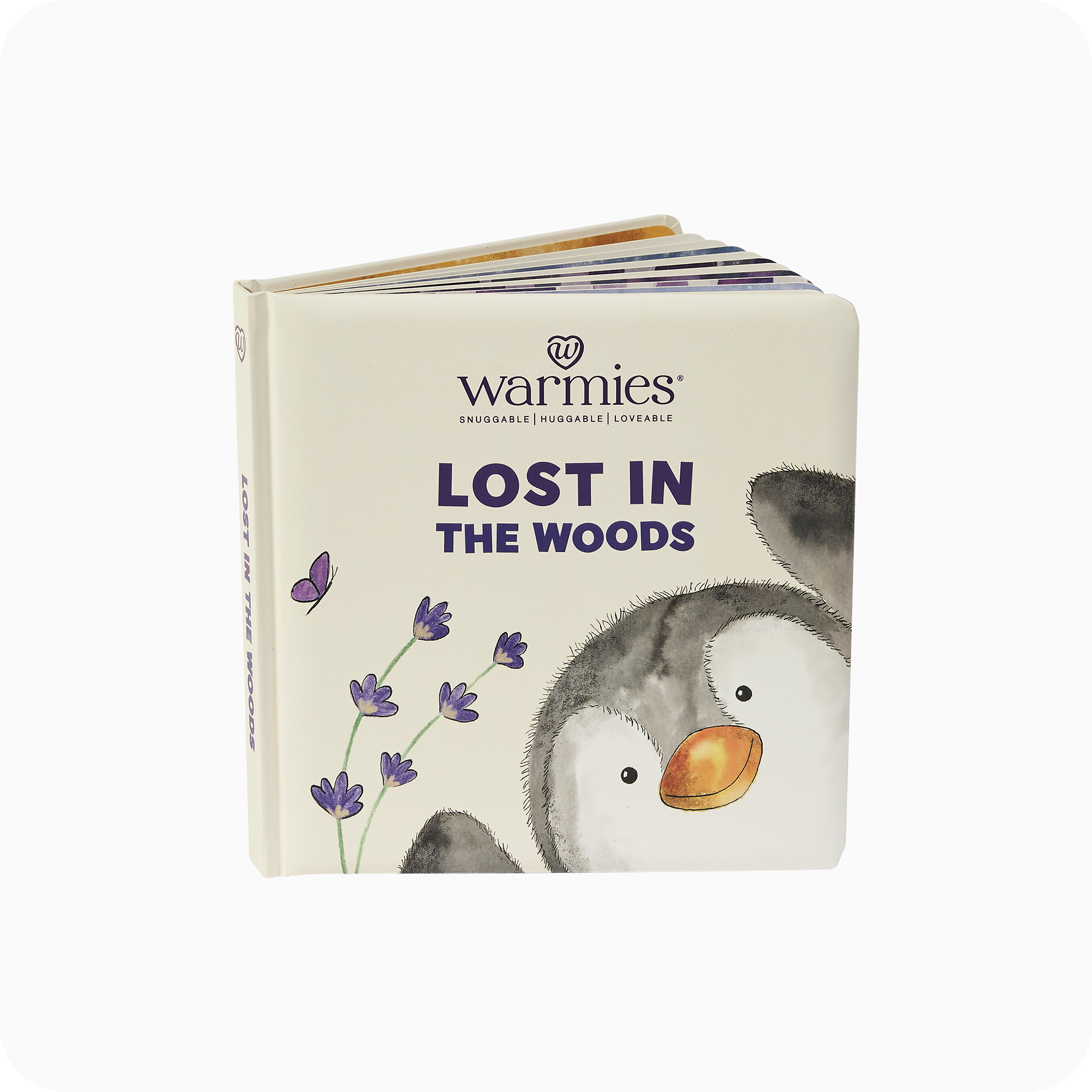 Lost in the Woods Board Book - Fresh Pair