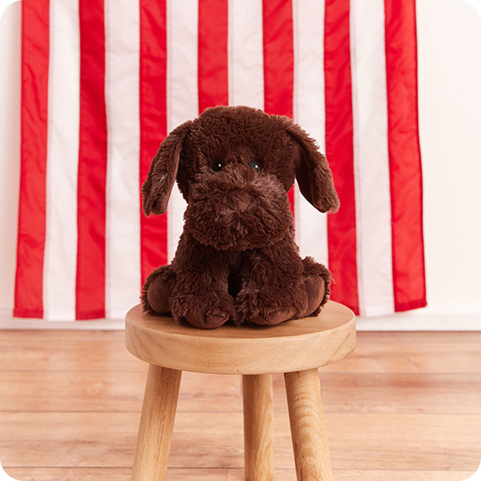 Chocolate Labrador Warmies - Clean Mood