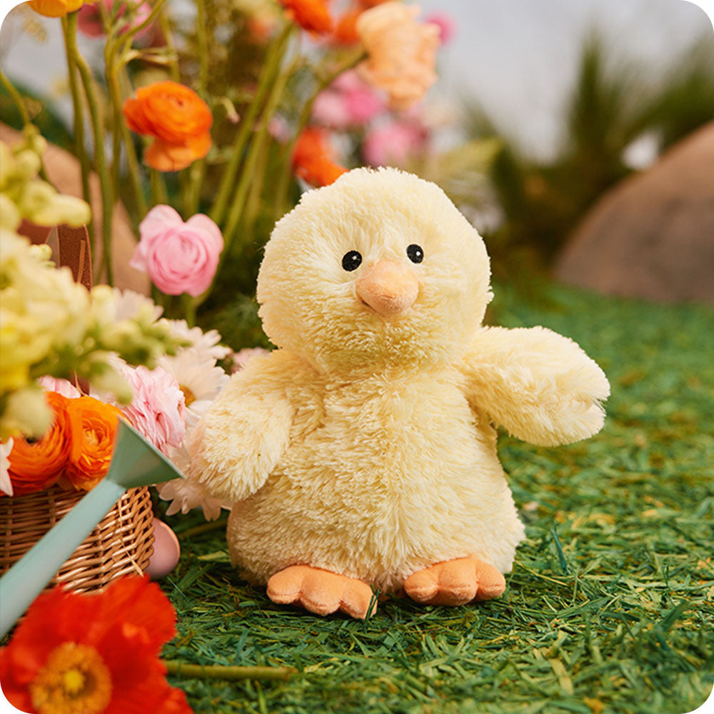 Chick Warmies - Clean Bundle