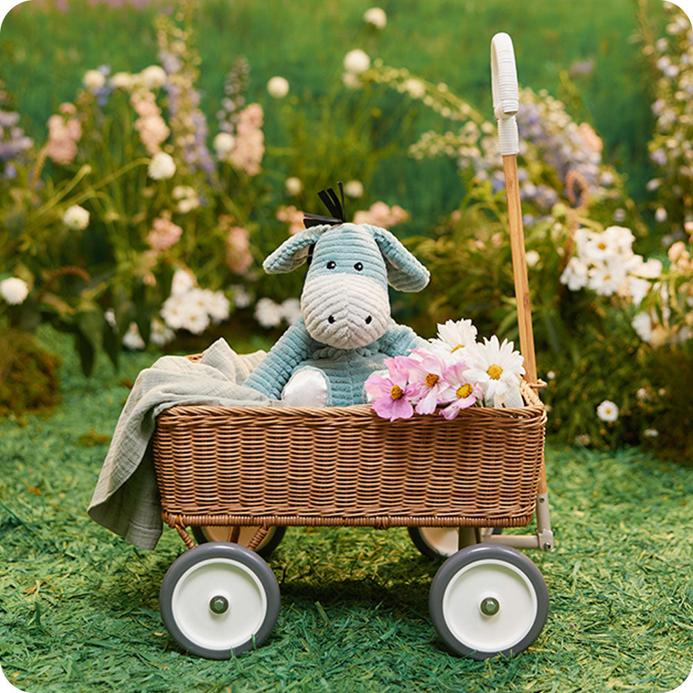 Donkey - My First Warmies - Gentle Mist
